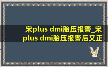 宋plus dmi胎压报警_宋plus dmi胎压报警后又正常